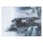 Nappe Berger allemand noir dans la couverture de duvet d (Devant (Horizontal))