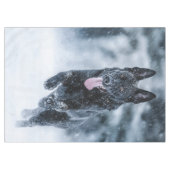 Nappe Berger allemand noir dans la couverture de duvet d (Devant (Horizontal))