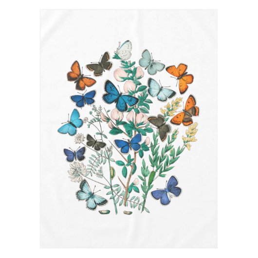 NAPPE BEURRE DANS LA NATURE (Devant)