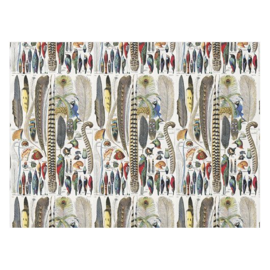 Nappe Bird Feather Wildlife Antique Feathers Art Nouveau (Devant (Horizontal))