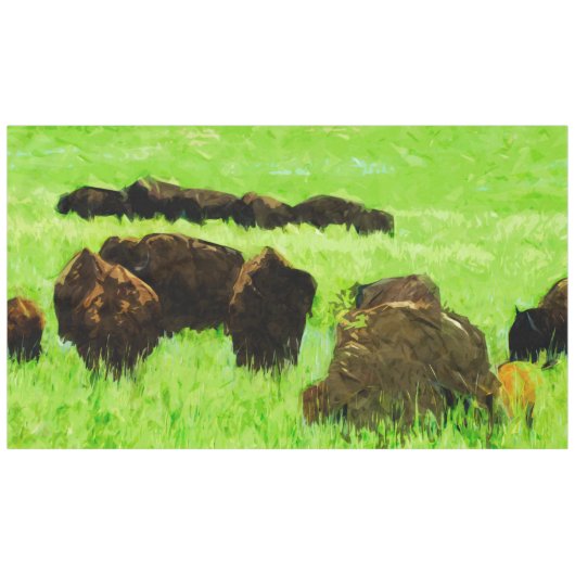 Nappe Bison Américain Avec Jeune Impressionnisme Abstrai (Devant (Horizontal))