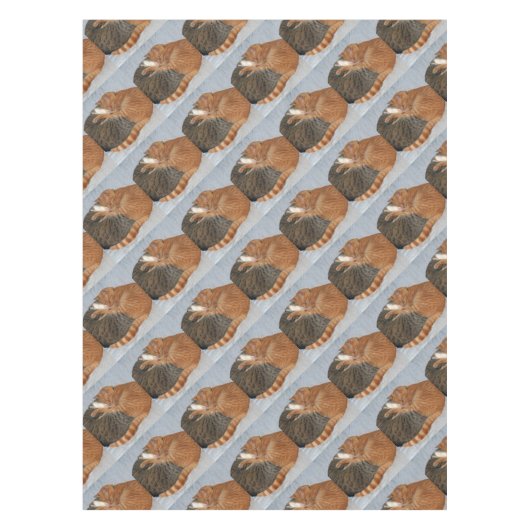 Nappe Boule de la laideur (Devant)