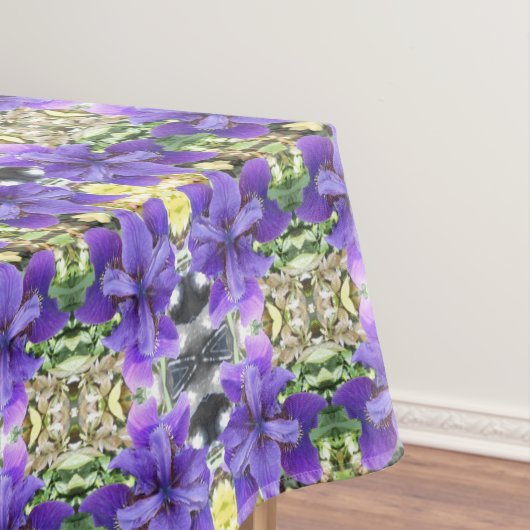 Nappe Brandeis (In Situ)