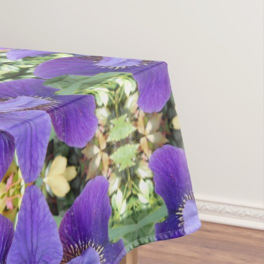 Nappe Brandeis (In Situ)