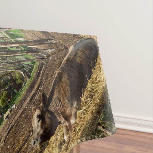 Nappe Brown Cow Lazy Dayz (In Situ)