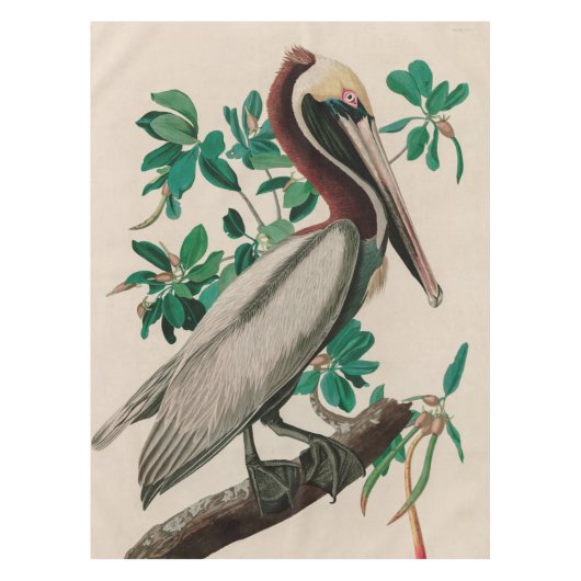 Nappe Brown Pelican Birds of America Audubon (Devant)