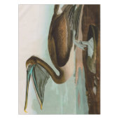 Nappe Brown Pelican Birds of America Audubon (Devant)