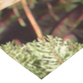 Nappe Buck Camouflage Cerf à queue blanche (Angle)