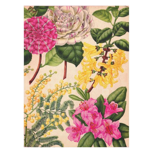 Nappe camélia, forsythie, rhododendron et acacia (Devant)