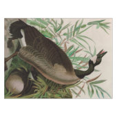Nappe Canada Goose Birds of America Audubon (Devant (Horizontal))