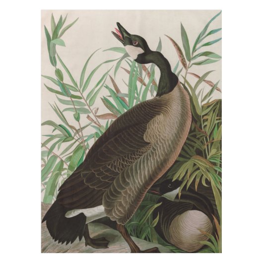 Nappe Canada Goose Birds of America Audubon (Devant)
