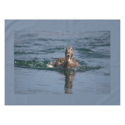 Nappe Canard avec bec ouvert (Devant (Horizontal))