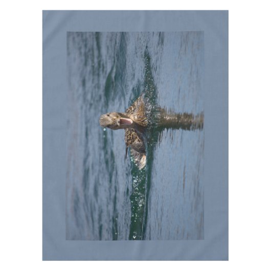 Nappe Canard avec bec ouvert (Devant)