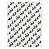 Nappe Canards : Cayugas noirs (Devant)