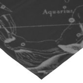 Nappe Capricorne Constellation Hevelius 1690 sur Noir (Angle)