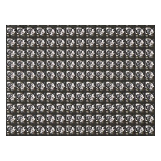 Nappe carlins aux yeux bleus noir (Devant (Horizontal))