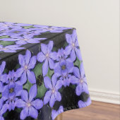 Nappe Césarine (In Situ)