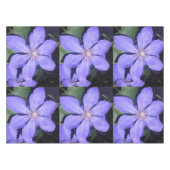 Nappe Césarine (Devant (Horizontal))