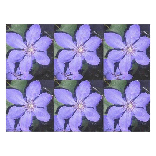 Nappe Césarine (Devant (Horizontal))