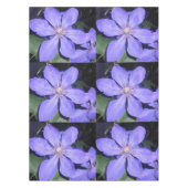 Nappe Césarine (Devant)