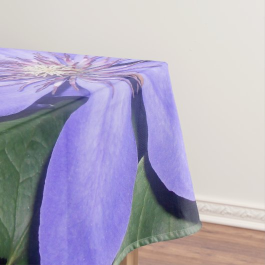 Nappe Césarine (In Situ)