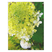 Nappe Chartreuse Vert, Hydrangea Limelight, (Devant)