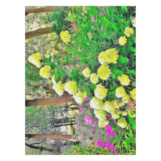 Nappe Chartreuse Vert Limelight Hydrangea Garden (Devant)