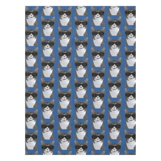 Nappe Chat froid en ville (Devant)