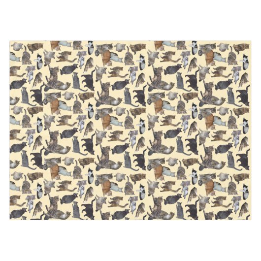 Nappe Chats (Devant (Horizontal))