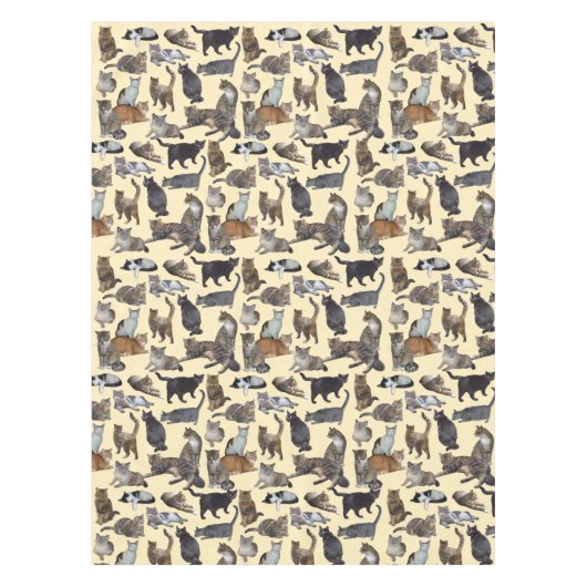 Nappe Chats (Devant)