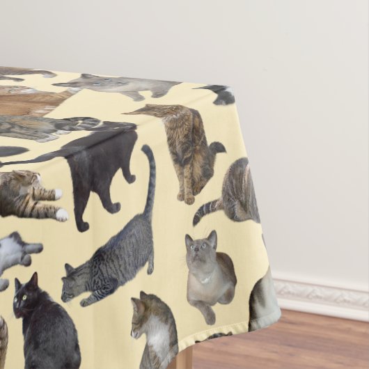 Nappe Chats (In Situ)