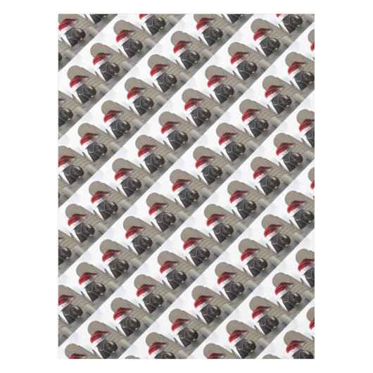 Nappe Cheval avec Santa Hat (Devant)