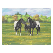 Nappe Chevaux Appaloosa Noir Dans Les Pâturages D'Été (Devant (Horizontal))