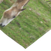 Nappe Chevaux boueux blancs, (Angle)