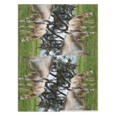 Nappe Chevaux boueux blancs, (Devant)