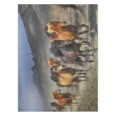 Nappe Chevaux dans un tir (Devant)