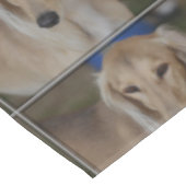 Nappe Chien blond de Saluki (Angle)