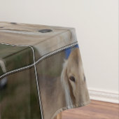 Nappe Chien blond de Saluki (In Situ)