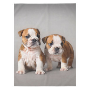 Nappe Chiens de taupe anglais Couple mou Bulldog