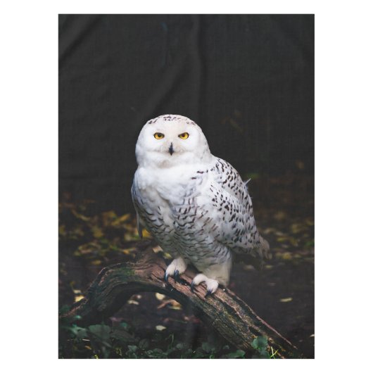 Nappe Chouette hivernale majestueuse (Devant)