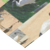 Nappe Chroniques Du Poulet De Bin : Collage Photo De L'I (Angle)