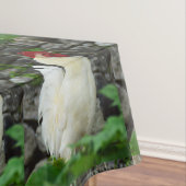 Nappe Cockerels blancs (In Situ)