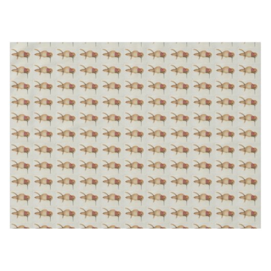 Nappe Colibri (Devant (Horizontal))