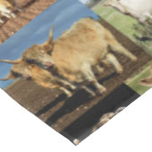 Nappe Collage Photo Vaches Et Vaches Highland, (Angle)
