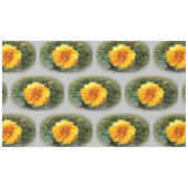 Nappe Colors de Summer (Devant (Horizontal))