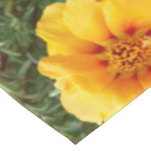 Nappe Colors de Summer (Angle)