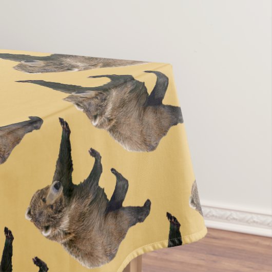 Nappe Cook bear (In Situ)