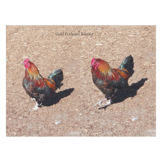 nappe Coq d'or (Devant (Horizontal))