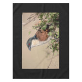 Nappe Coucal de Burchell (Devant)