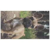 Nappe Coussin de lancer Bouledogue Français (Devant (Horizontal))